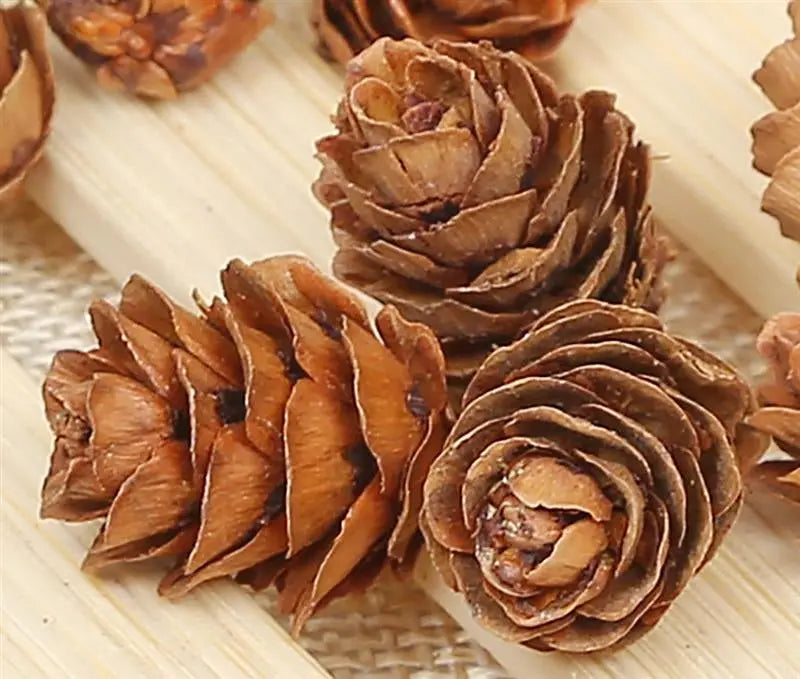 20PCS Wooden Natural Pinecone Christmas Tree Hanging DIY 3D Vivid Pine Cones Ornaments Party Christmas Decor Home Decors eprolo