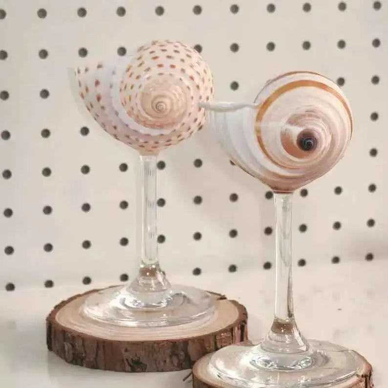 Handmade Shell  and Conch Cup