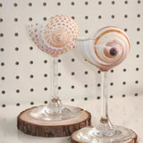 Handmade Shell  and Conch Cup