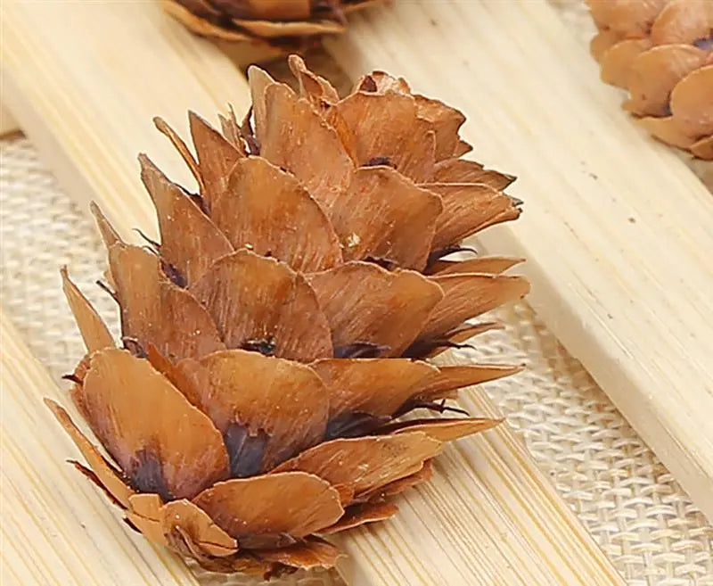 20PCS Wooden Natural Pinecone Christmas Tree Hanging DIY 3D Vivid Pine Cones Ornaments Party Christmas Decor Home Decors eprolo