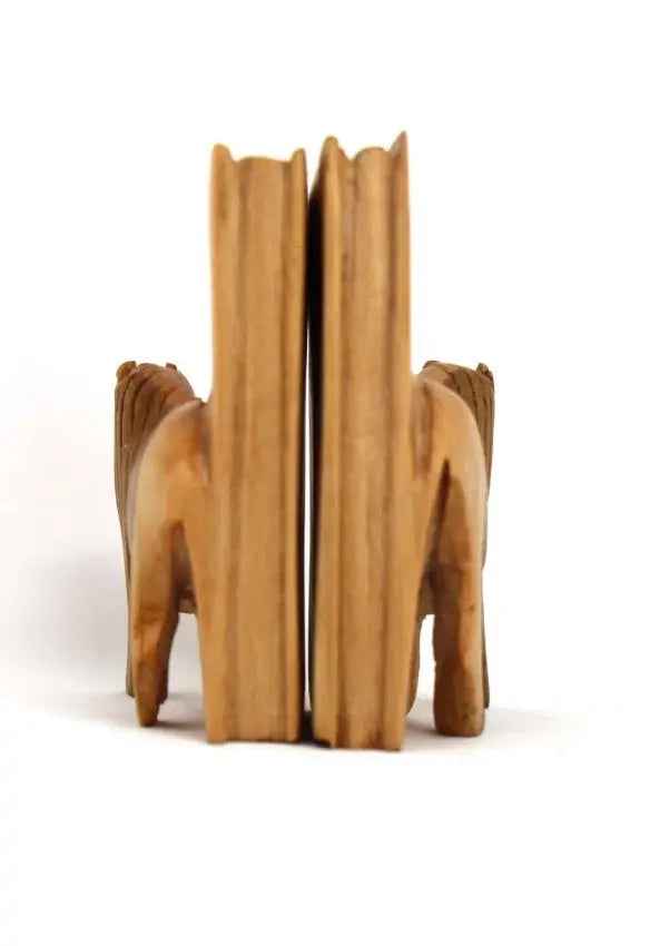 Carved Wood Lion Book Set of 2