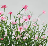 Artificial Potted Plant Indoor/Outdoor/Baby's Wreath Pink