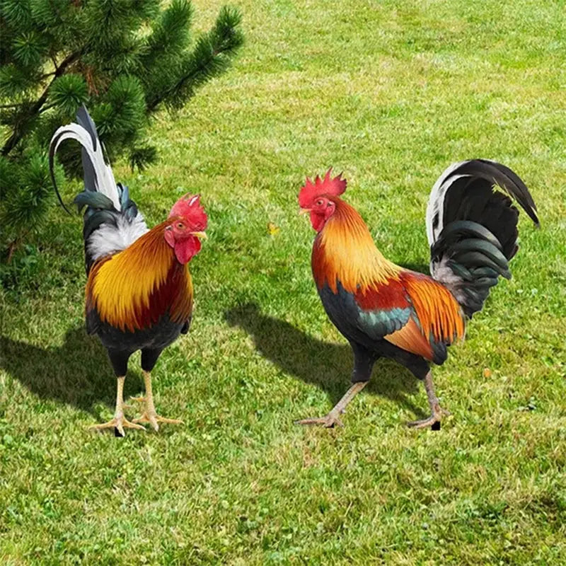 Rooster Statue , Hen Figure Chicken Sculpture For Yard Decor Weatherproof Mayra and Company