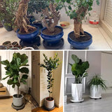 8 Pack Plant Caddy With Wheels Heavy Duty 12.2 Inch Plant Dolly With Locking Casters Rolling Plant Stand For Indoor Outdoor, Brown